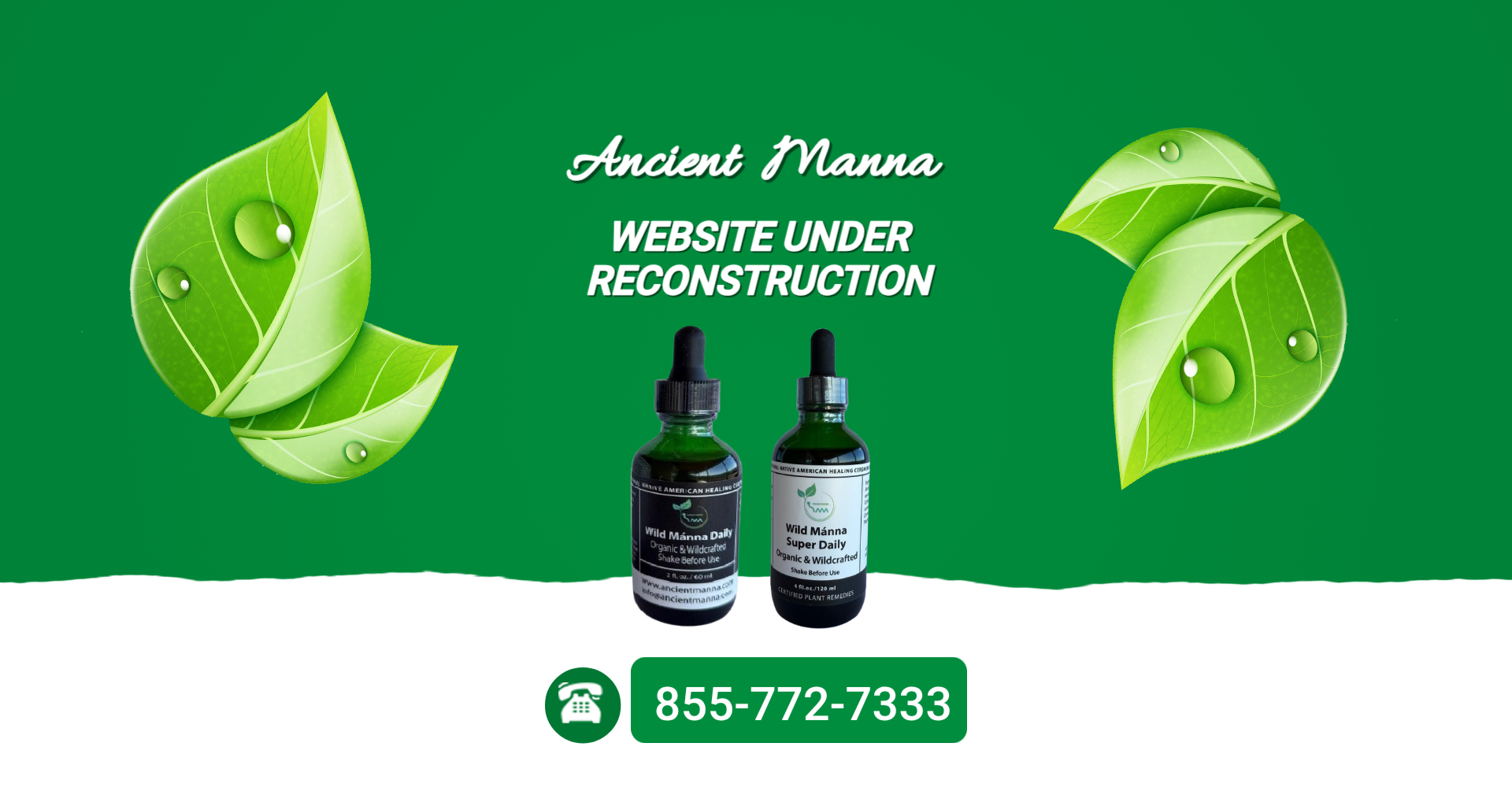 ANCIENT MANNA6